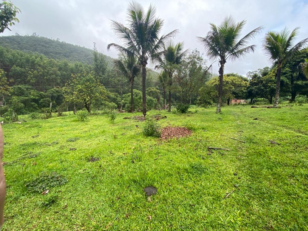 Fazenda à venda com 4 quartos, 64000m² - Foto 6