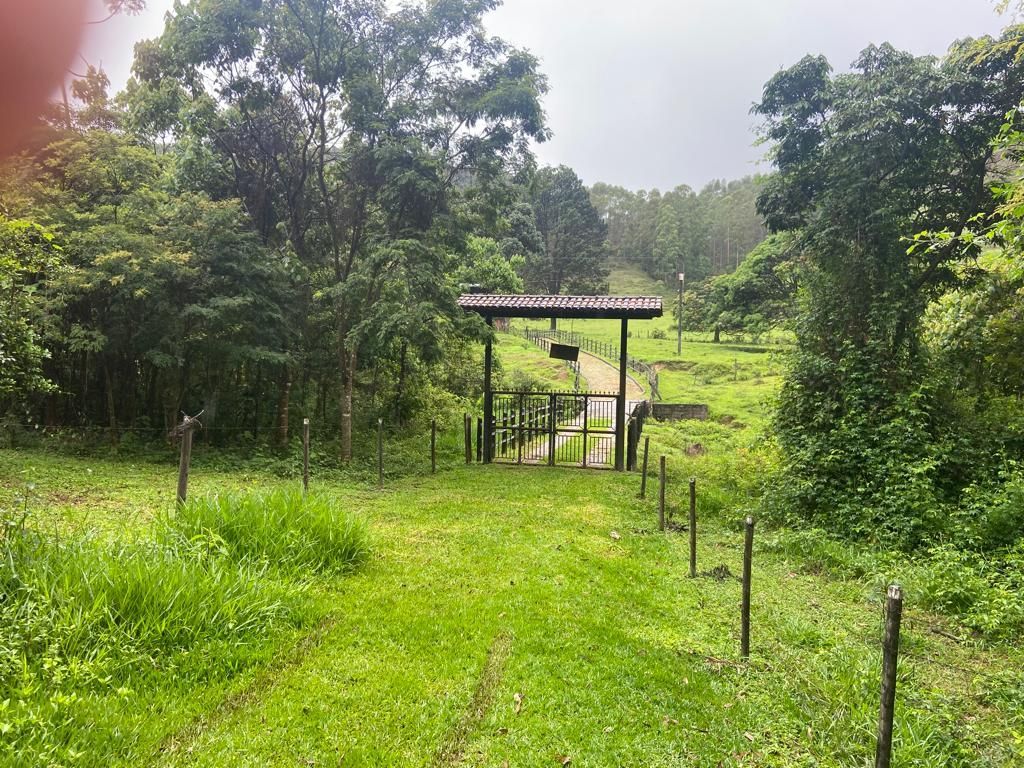 Fazenda à venda com 4 quartos, 64000m² - Foto 2