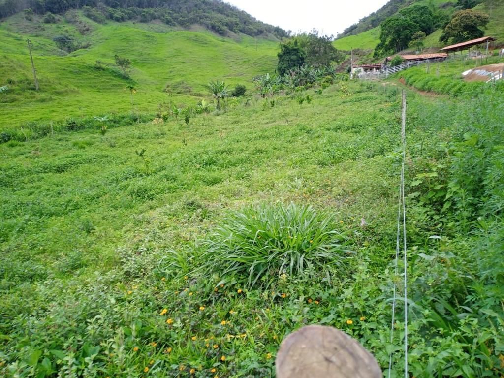 Fazenda à venda com 3 quartos, 280m² - Foto 21