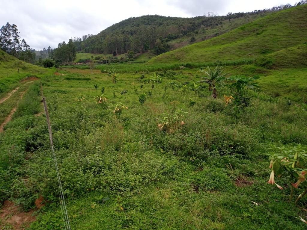 Fazenda à venda com 3 quartos, 280m² - Foto 22