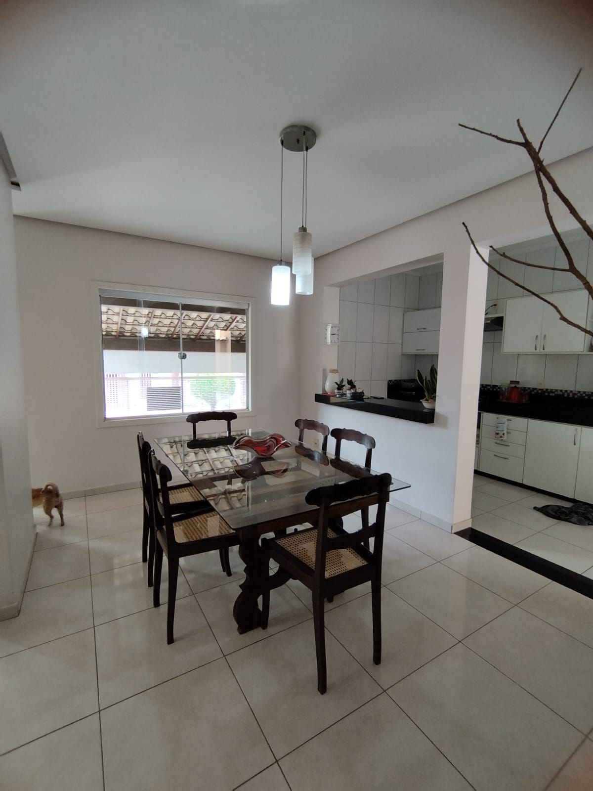 Casa à venda com 3 quartos, 360m² - Foto 7