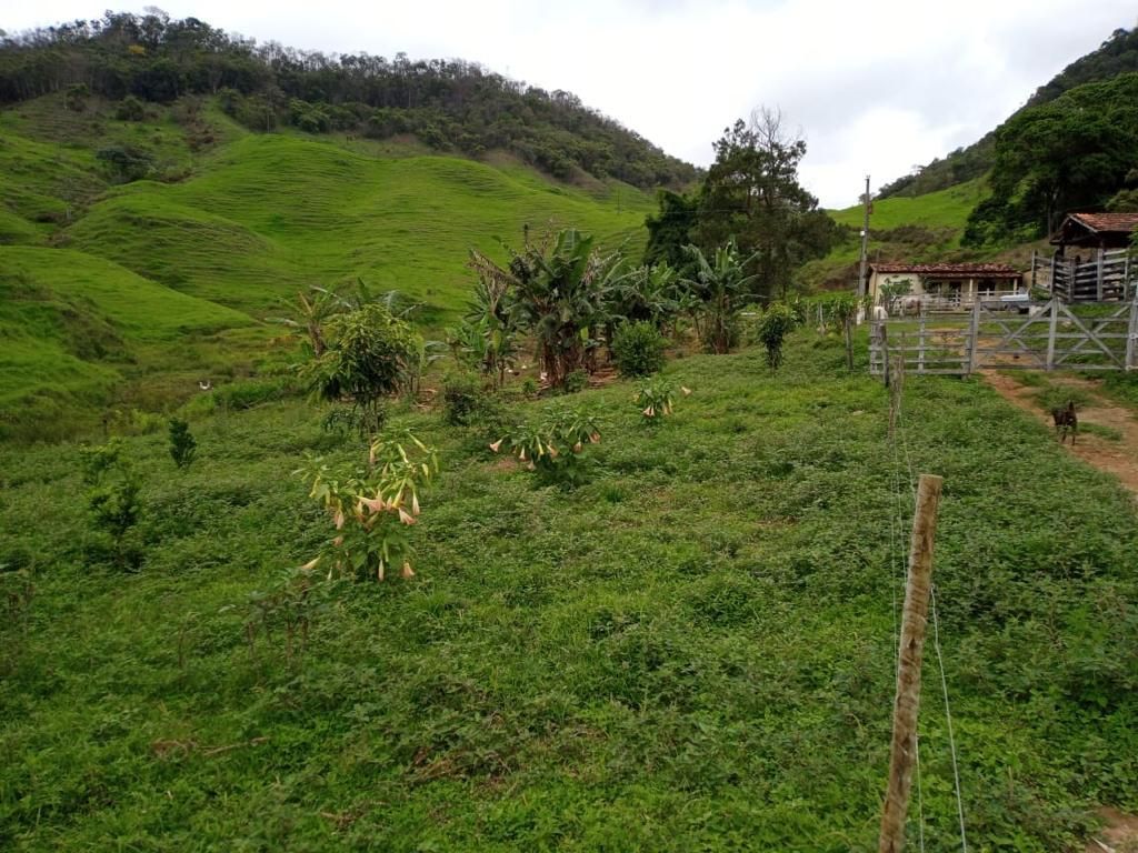 Fazenda à venda com 3 quartos, 280m² - Foto 15