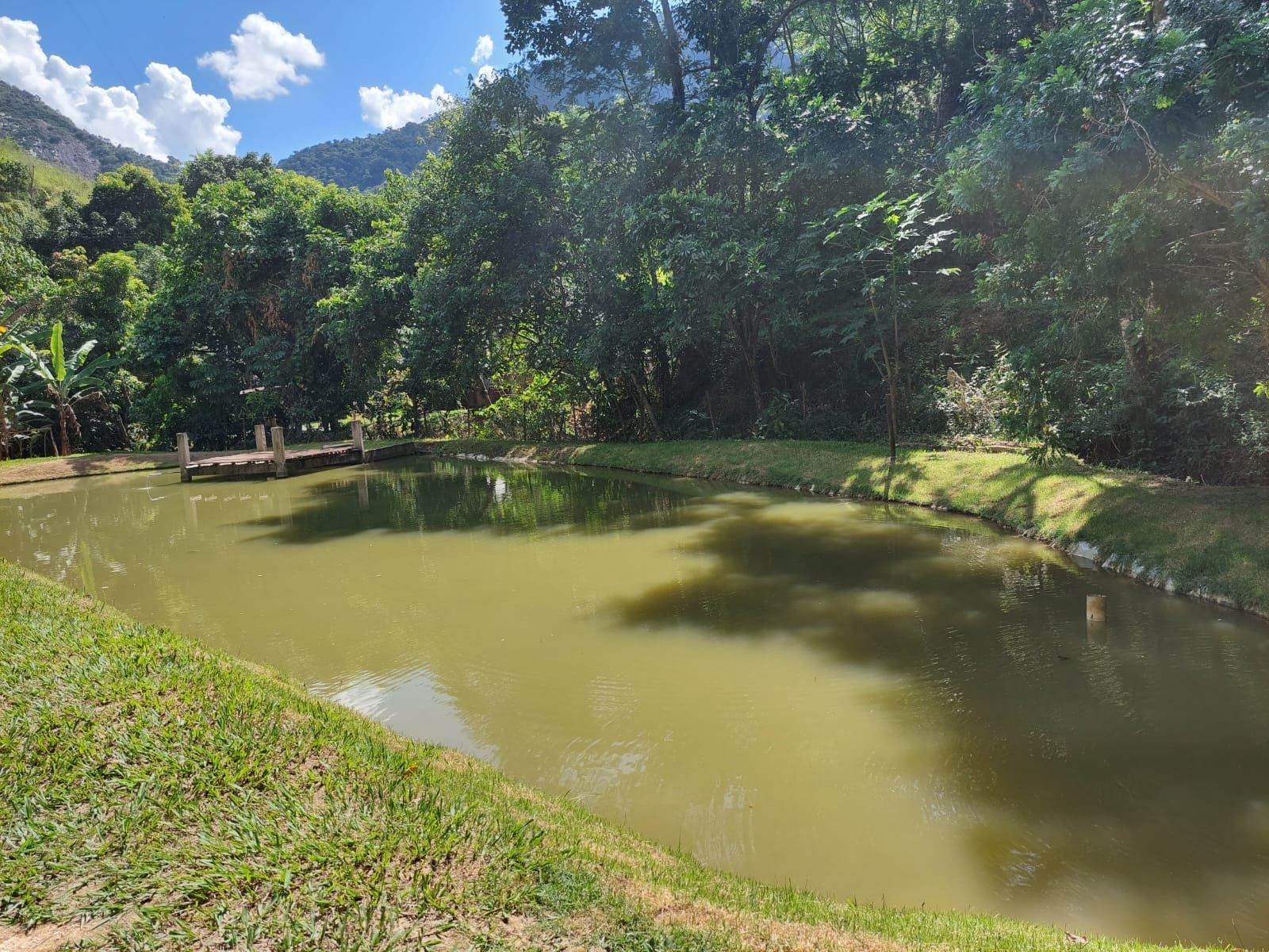 Fazenda à venda com 5 quartos, 300m² - Foto 8