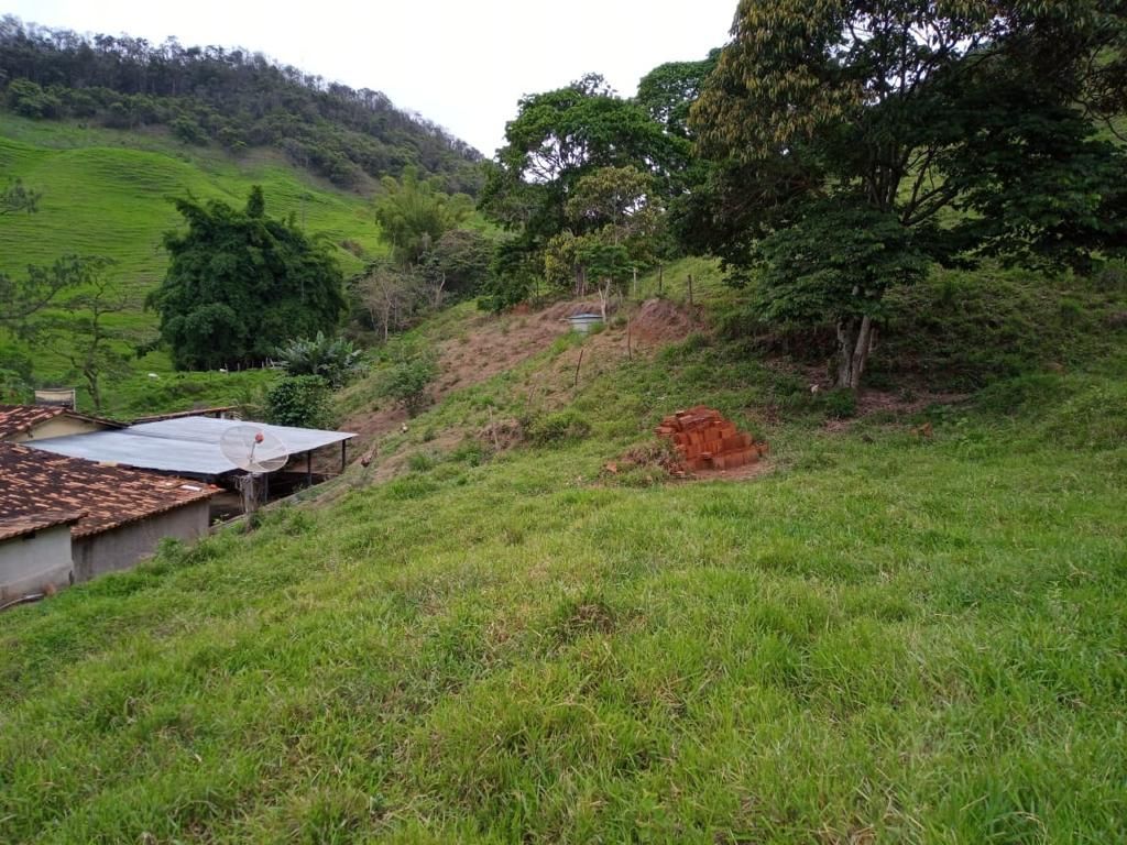 Fazenda à venda com 3 quartos, 280m² - Foto 7