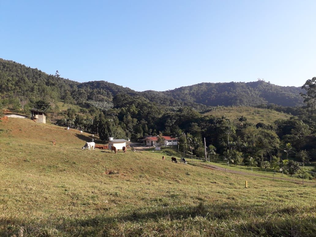 Sítio à venda com 3 quartos, 112m² - Foto 4