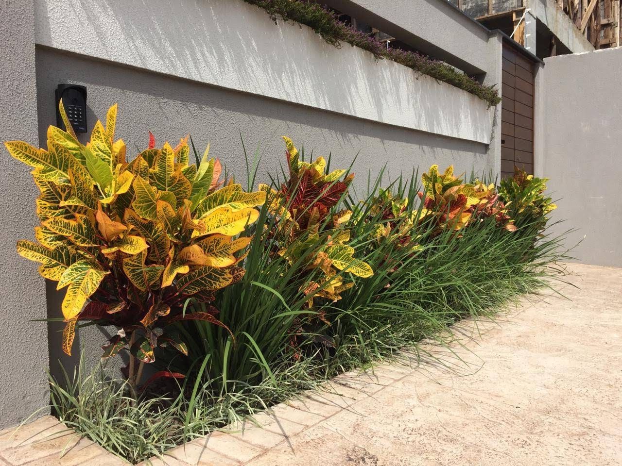 Casa, 3 quartos, 210 m² - Foto 12