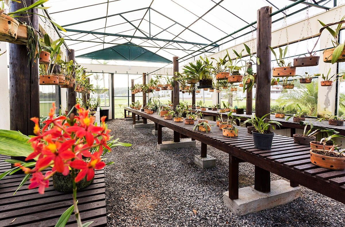 Casa, 5 quartos, 390 m² - Foto 1