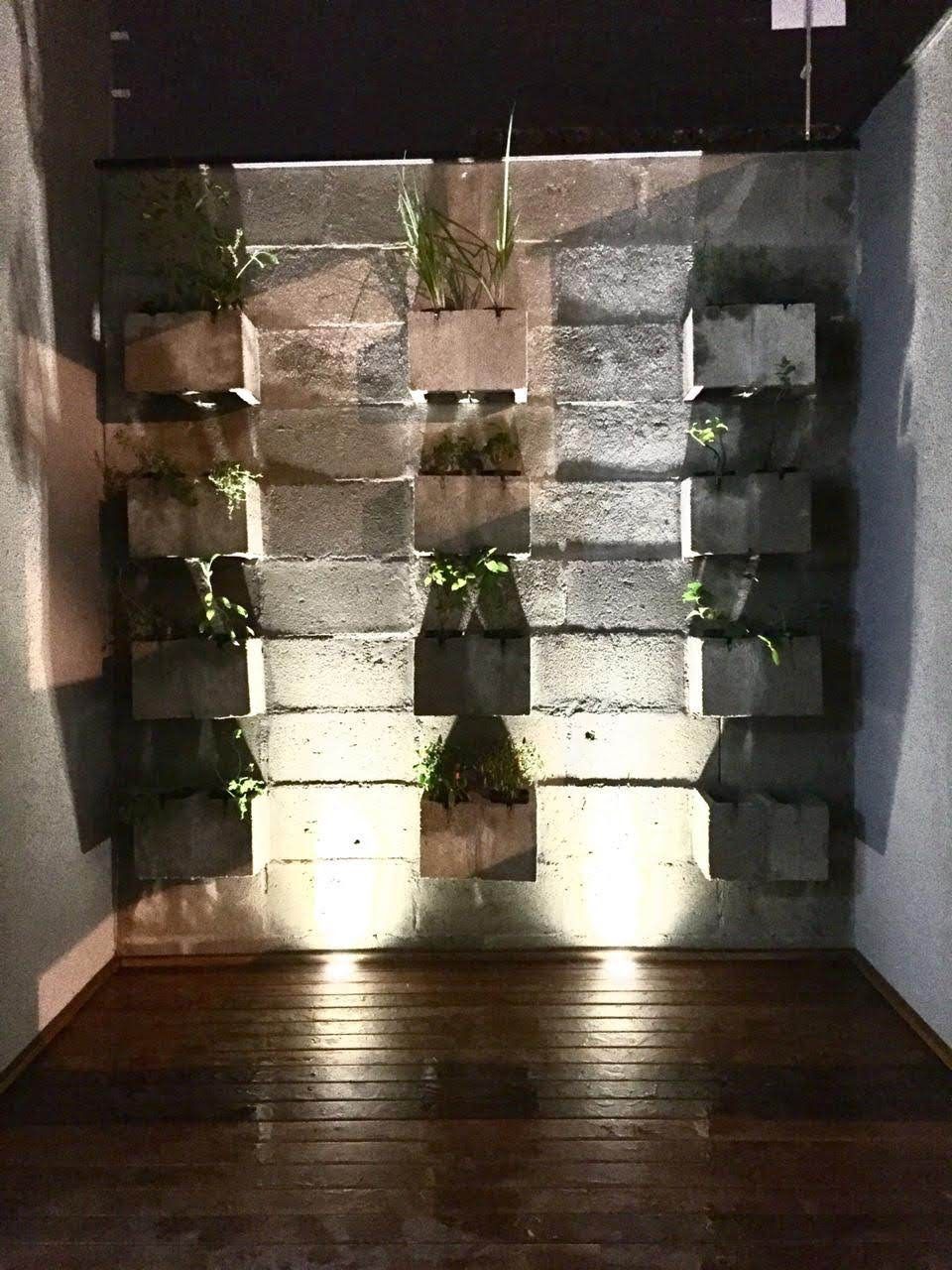 Casa, 3 quartos, 210 m² - Foto 24