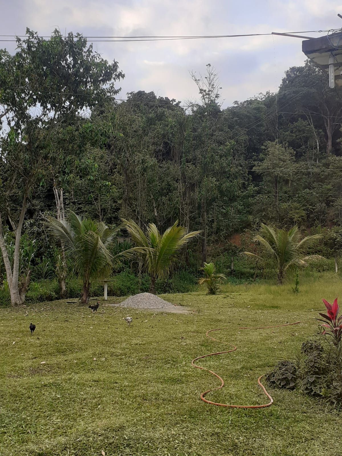 Terreno comercial  venda  no Baro de Guandu - Nova Iguau, RJ. Imveis
