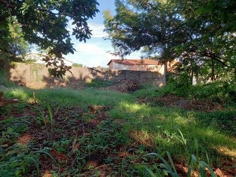 Terreno Comercial no Ribeirânia — miniatura 4