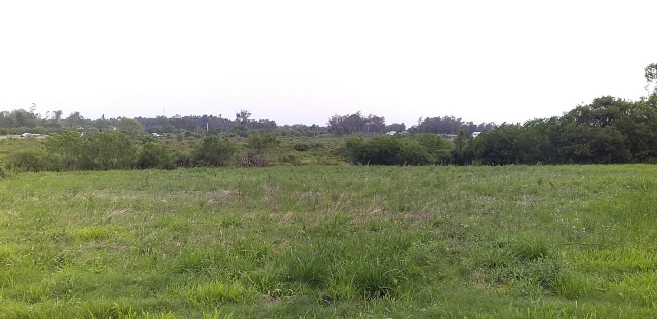 Loteamento e Condomínio, 100000 hectares - Foto 10