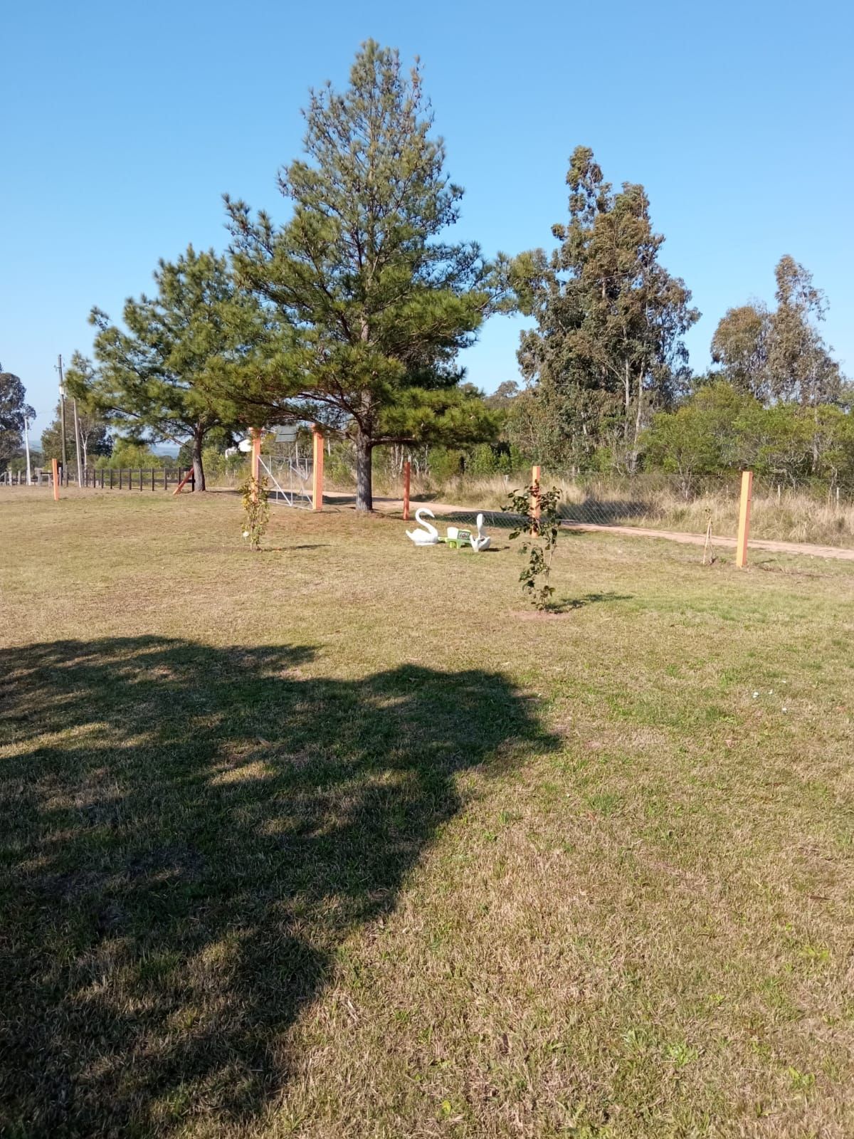 Sítio, 3 quartos - Foto 15