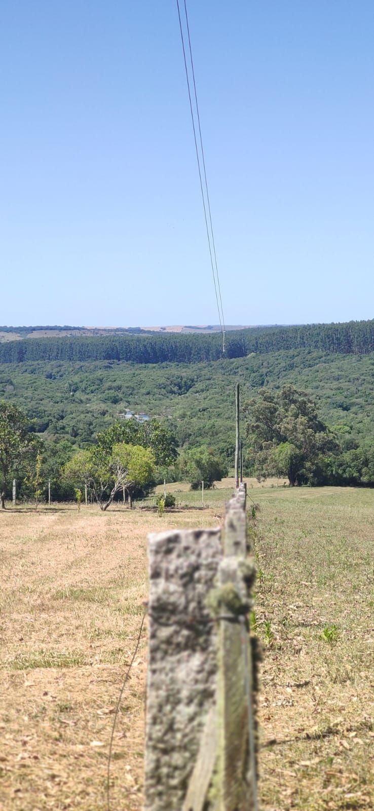 Chácara à venda com 3 quartos, 200000m² - Foto 11