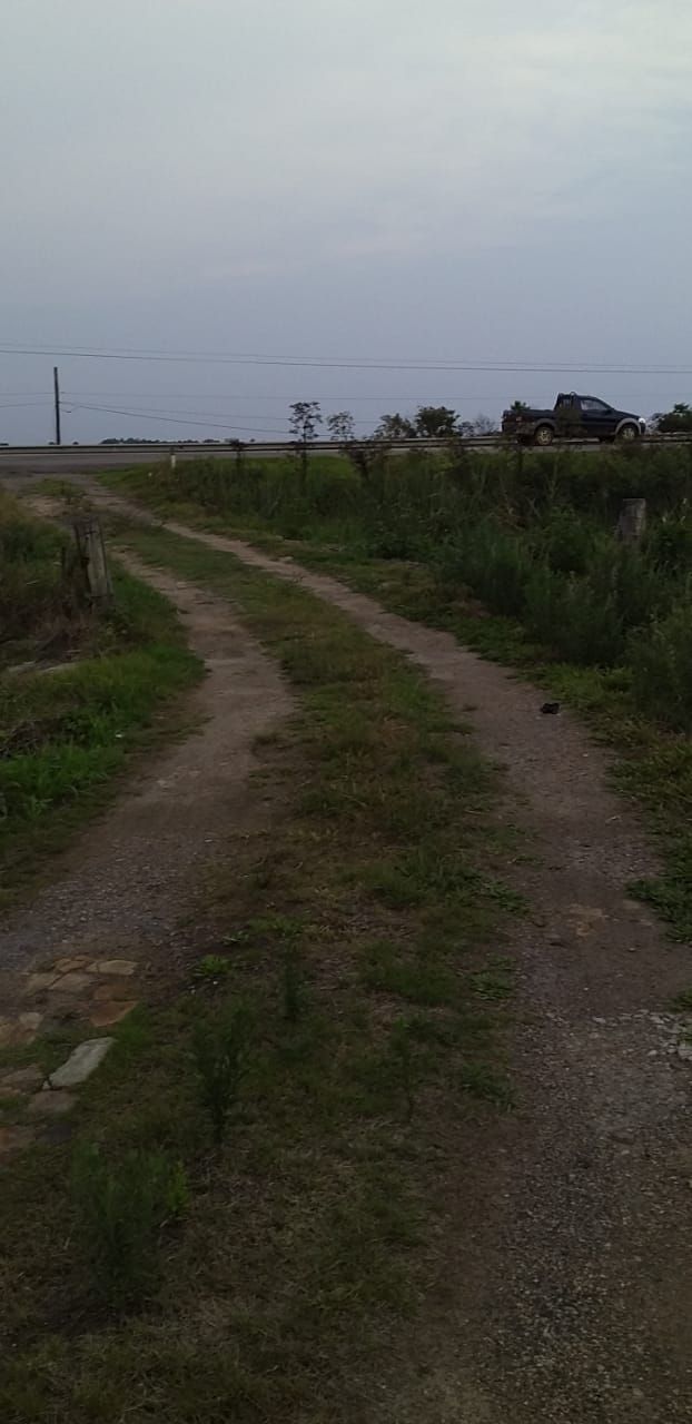 Loteamento e Condomínio, 100000 hectares - Foto 6