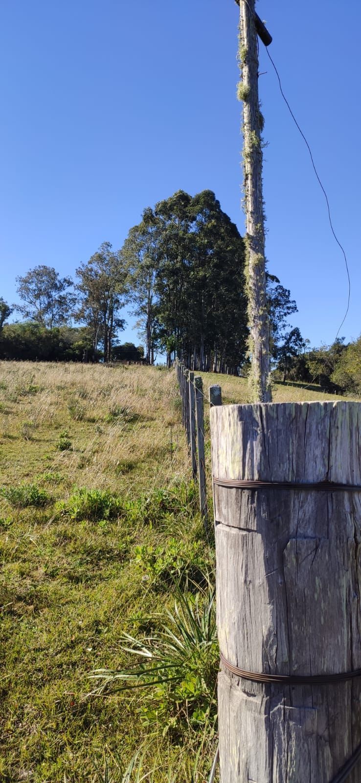 Chácara à venda com 3 quartos, 200000m² - Foto 2