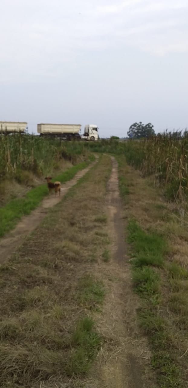 Loteamento e Condomínio à venda, 1000000000m² - Foto 7