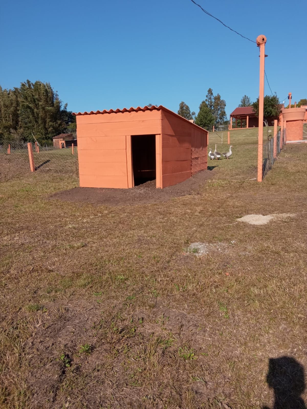 Sítio, 3 quartos - Foto 5