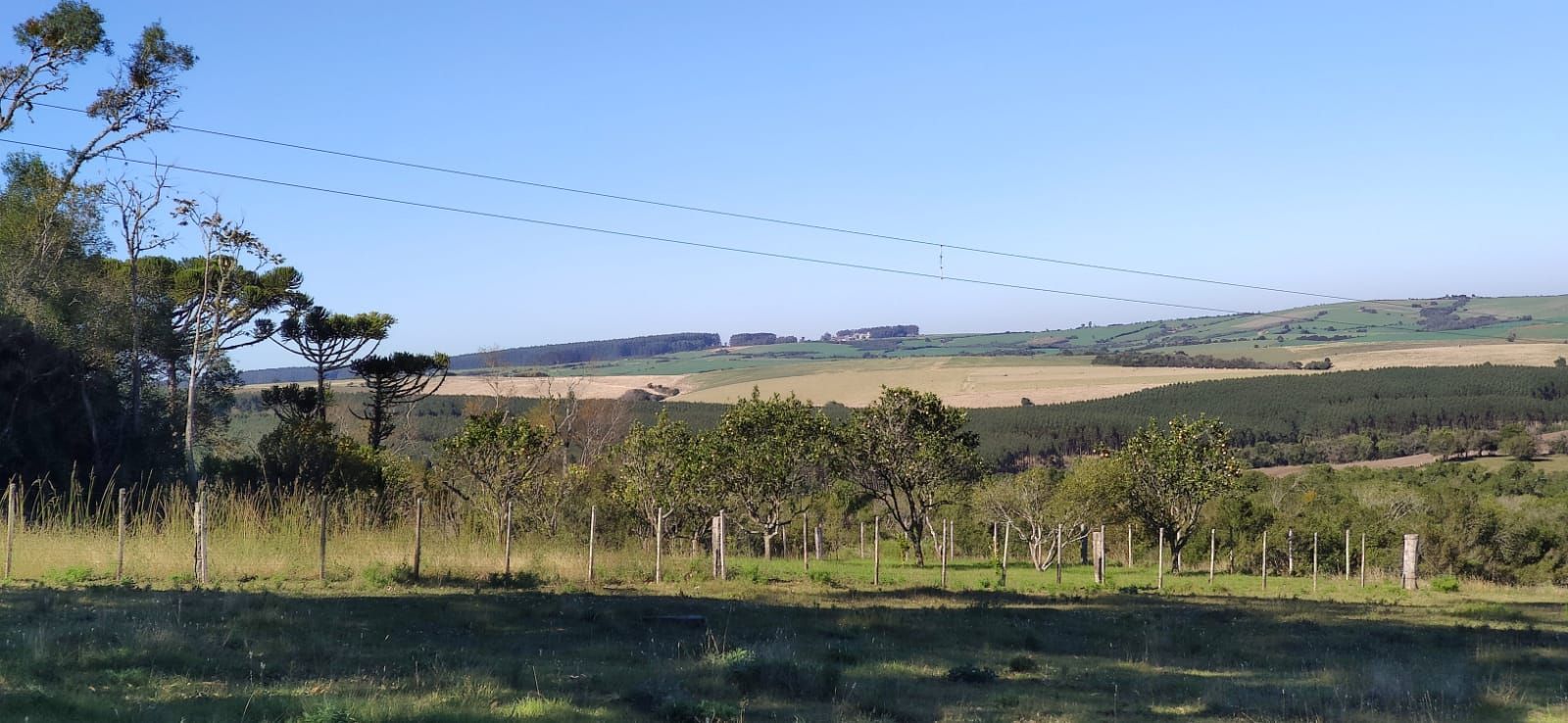 Chácara à venda com 3 quartos, 200000m² - Foto 16