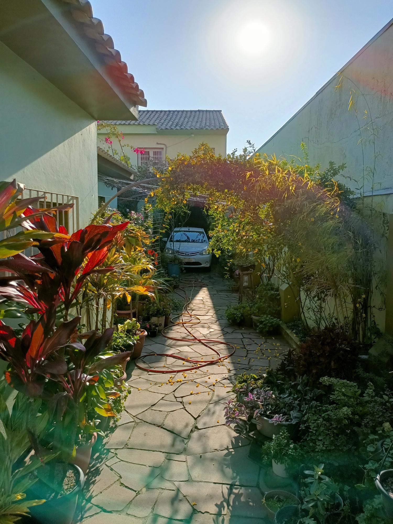 Casa, 4 quartos, 254 m² - Foto 14