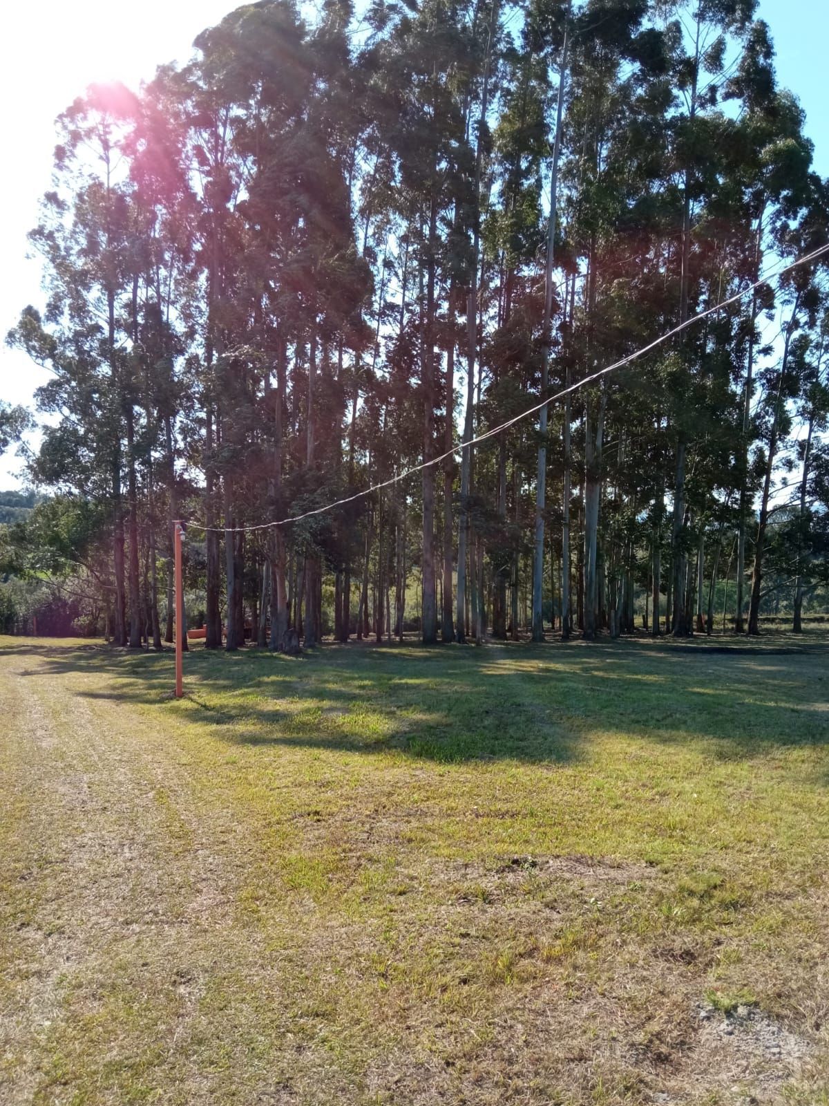 Sítio, 3 quartos - Foto 11