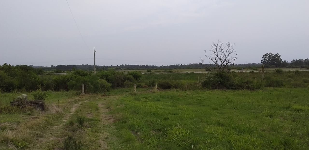 Loteamento e Condomínio, 100000 hectares - Foto 9