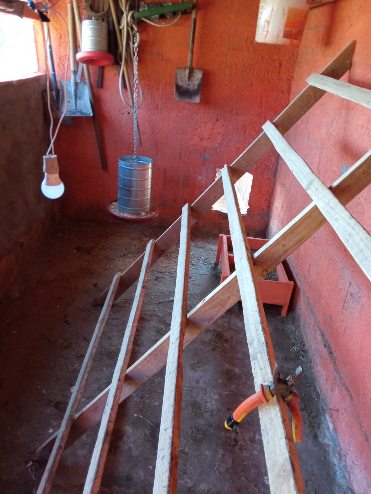 Sítio, 3 quartos - Foto 9