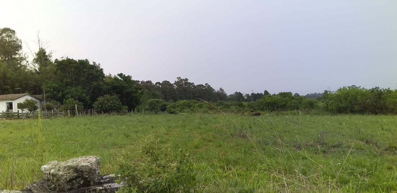 Loteamento e Condomínio, 100000 hectares - Foto 8