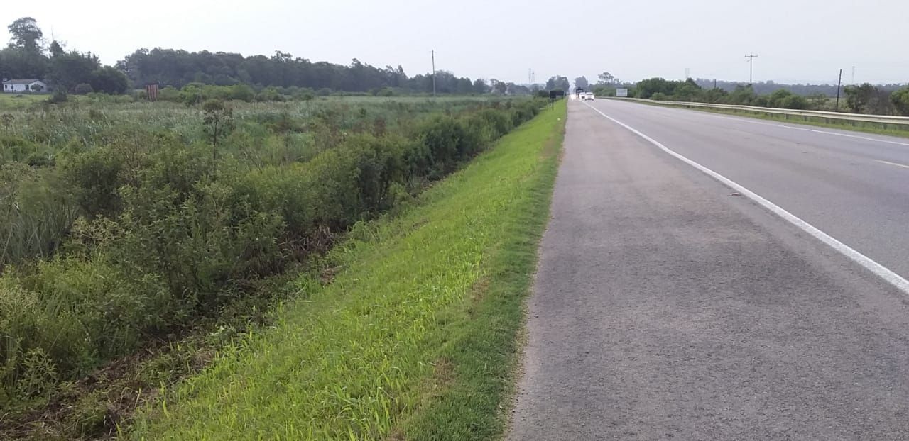 Loteamento e Condomínio, 100000 hectares - Foto 12