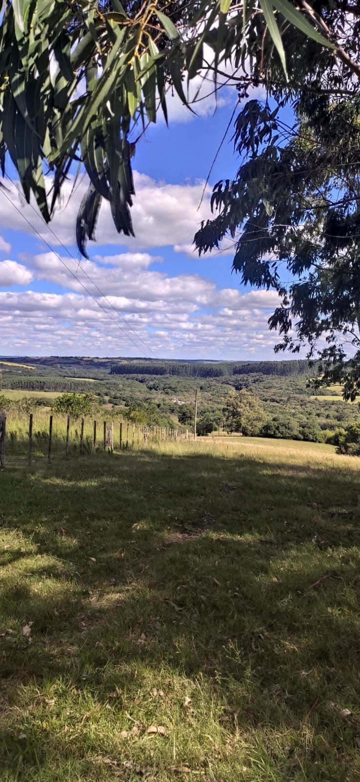 Chácara à venda com 3 quartos, 200000m² - Foto 13