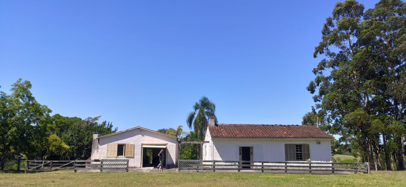 Chácara à venda com 3 quartos, 200000m² - Foto 3