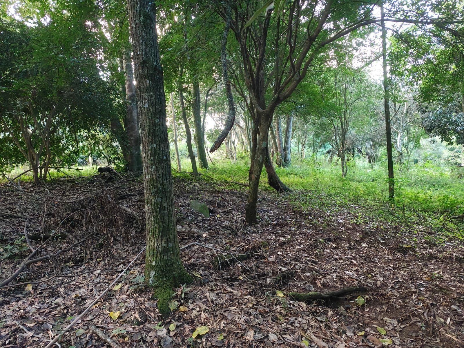 Terreno, 5 m² - Foto 7