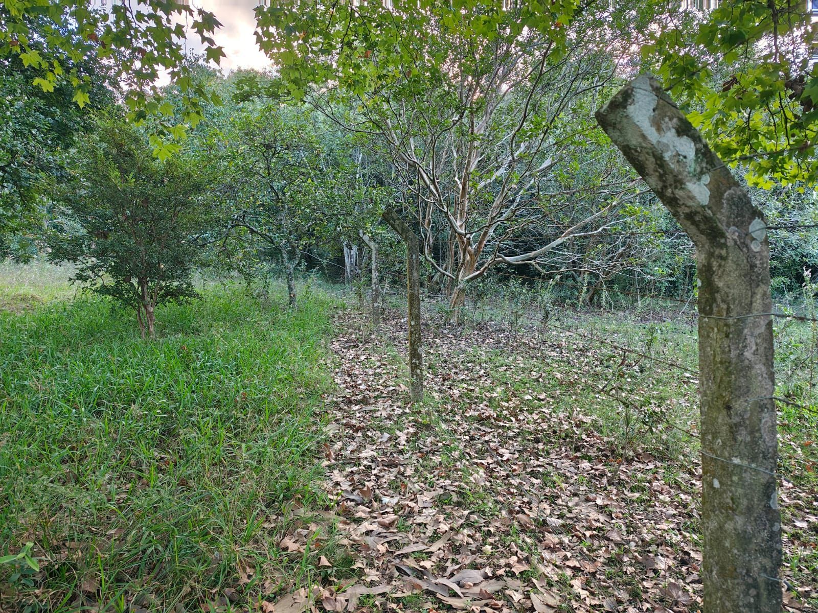 Terreno, 5 m² - Foto 22