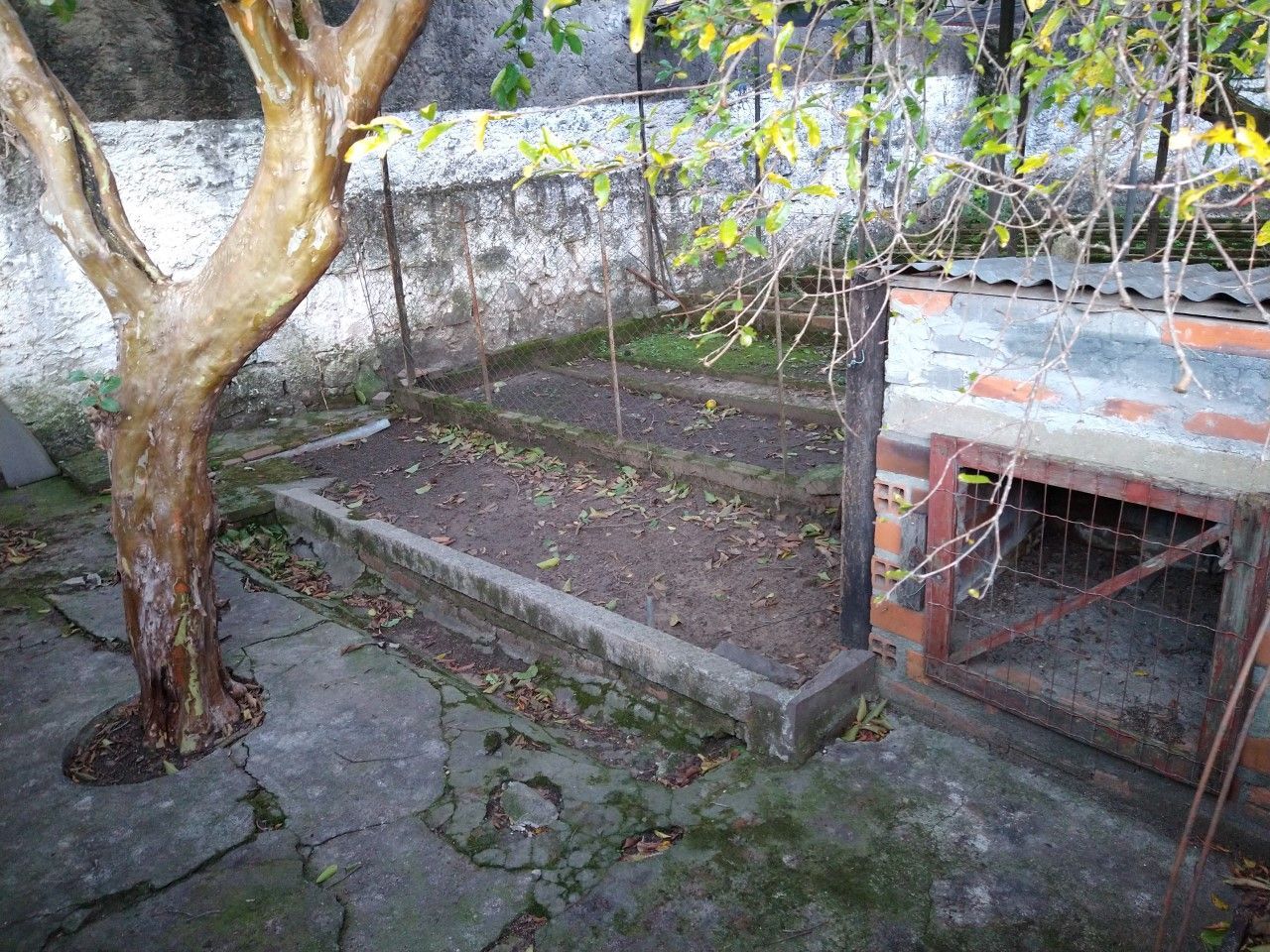 Casa, 6 quartos, 320 m² - Foto 40