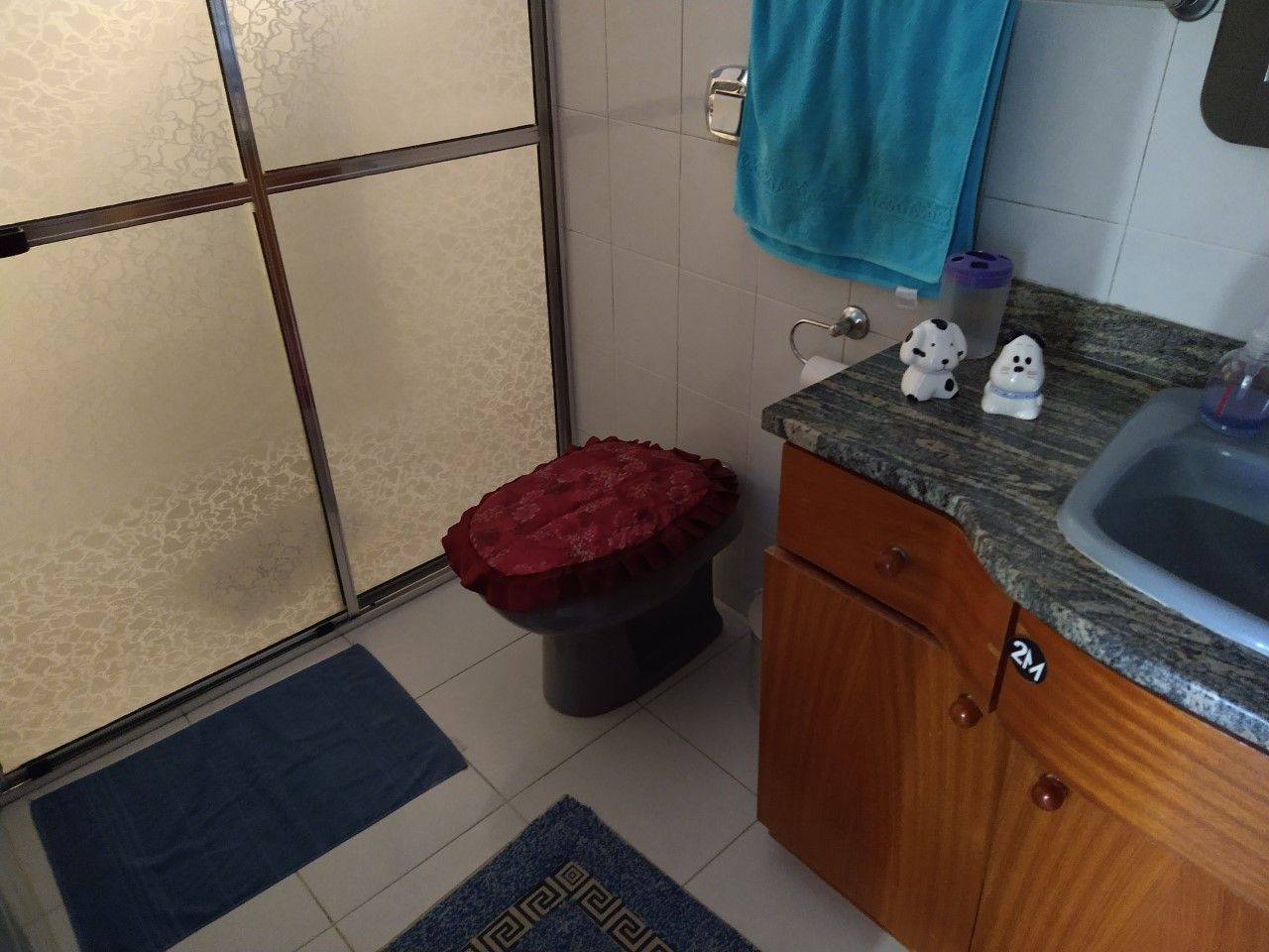 Casa, 6 quartos, 320 m² - Foto 29