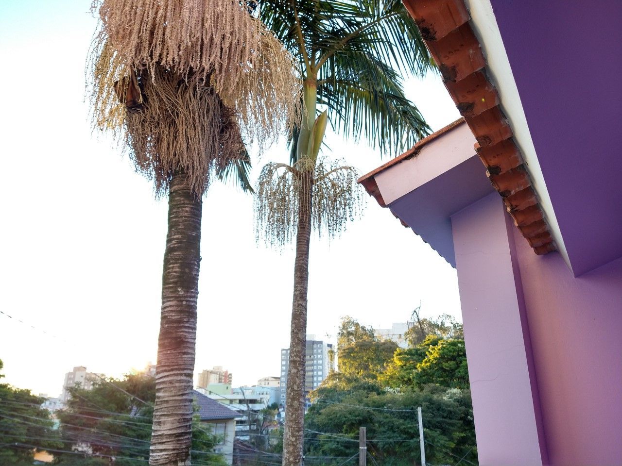 Casa, 6 quartos, 320 m² - Foto 2