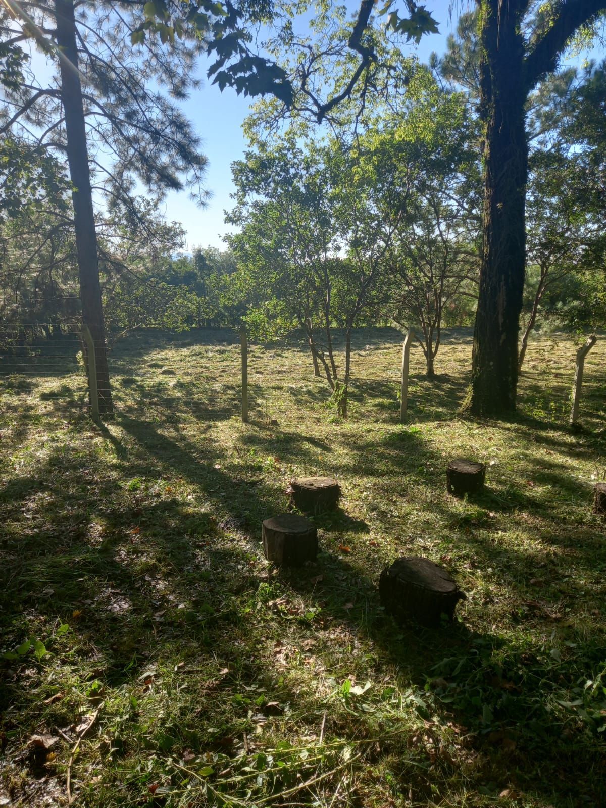 Terreno, 5 m² - Foto 4