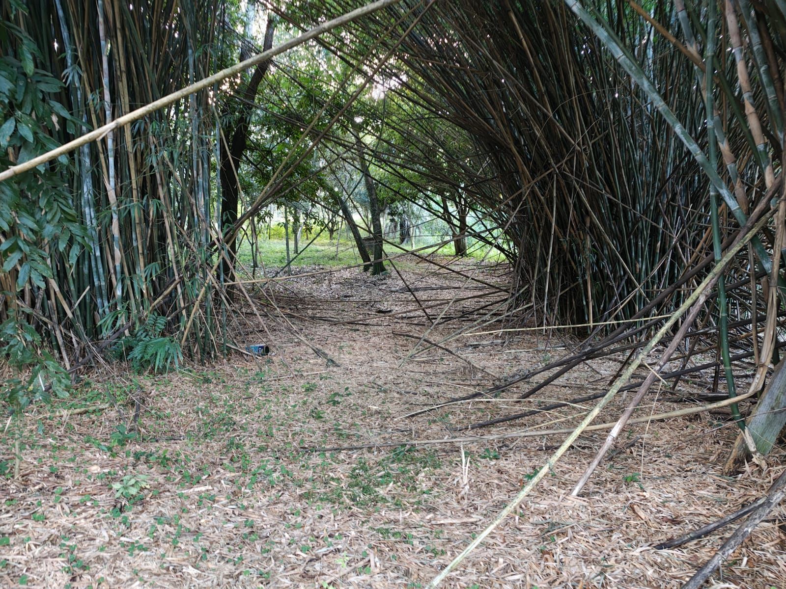 Terreno, 5 m² - Foto 18