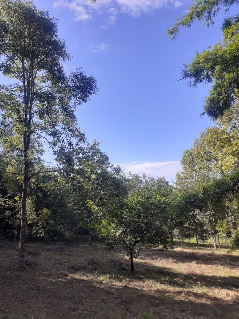 Terreno, 5 m² - Foto 8