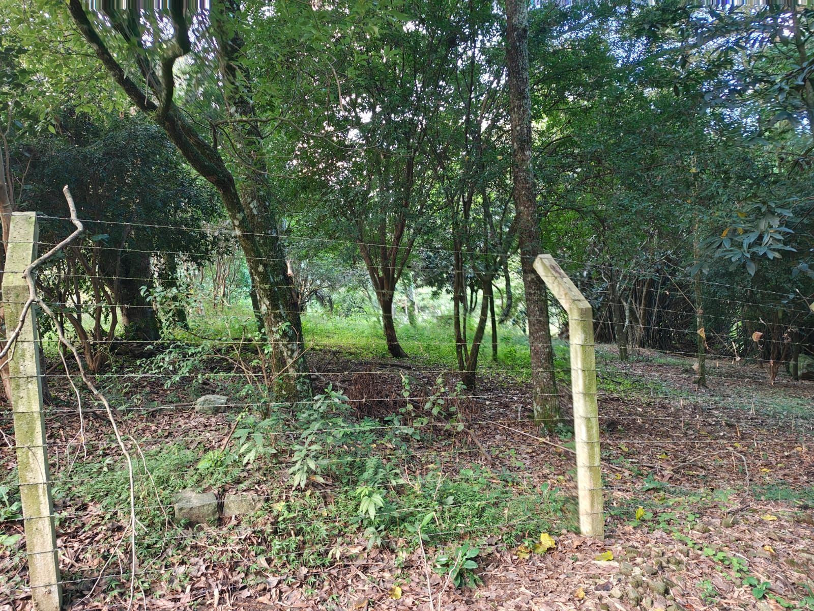 Terreno, 5 m² - Foto 20
