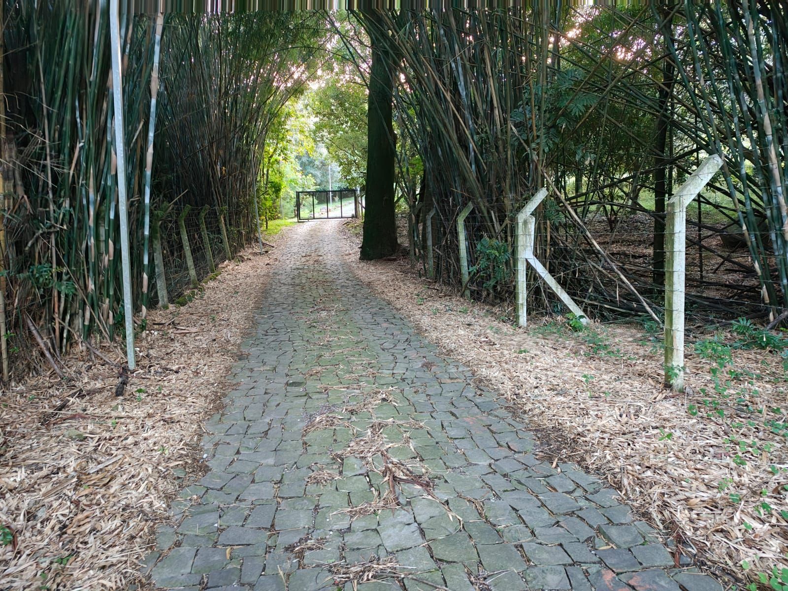 Terreno, 5 m² - Foto 10