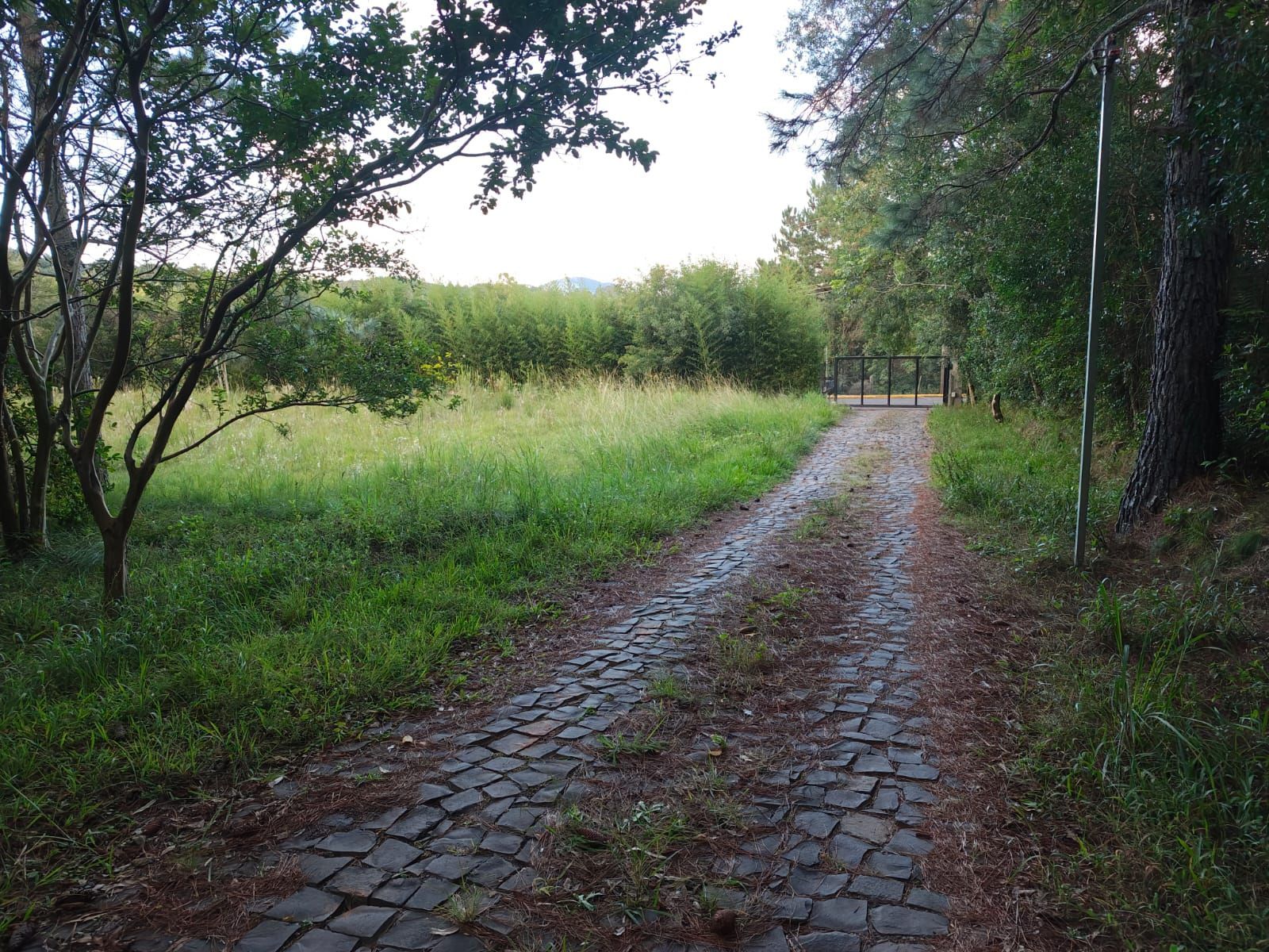 Terreno, 5 m² - Foto 1