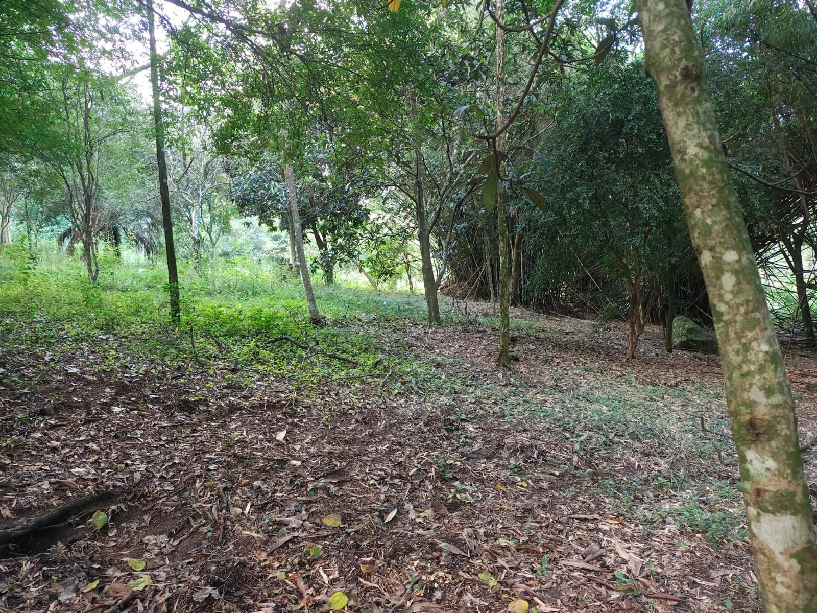 Terreno, 5 m² - Foto 15