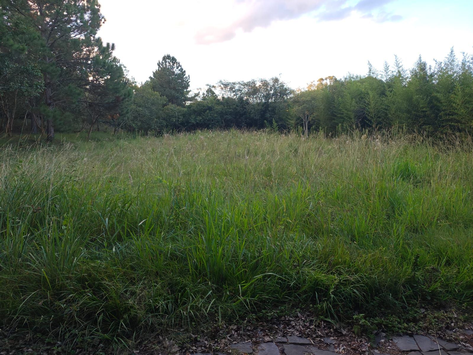 Terreno, 5 m² - Foto 16