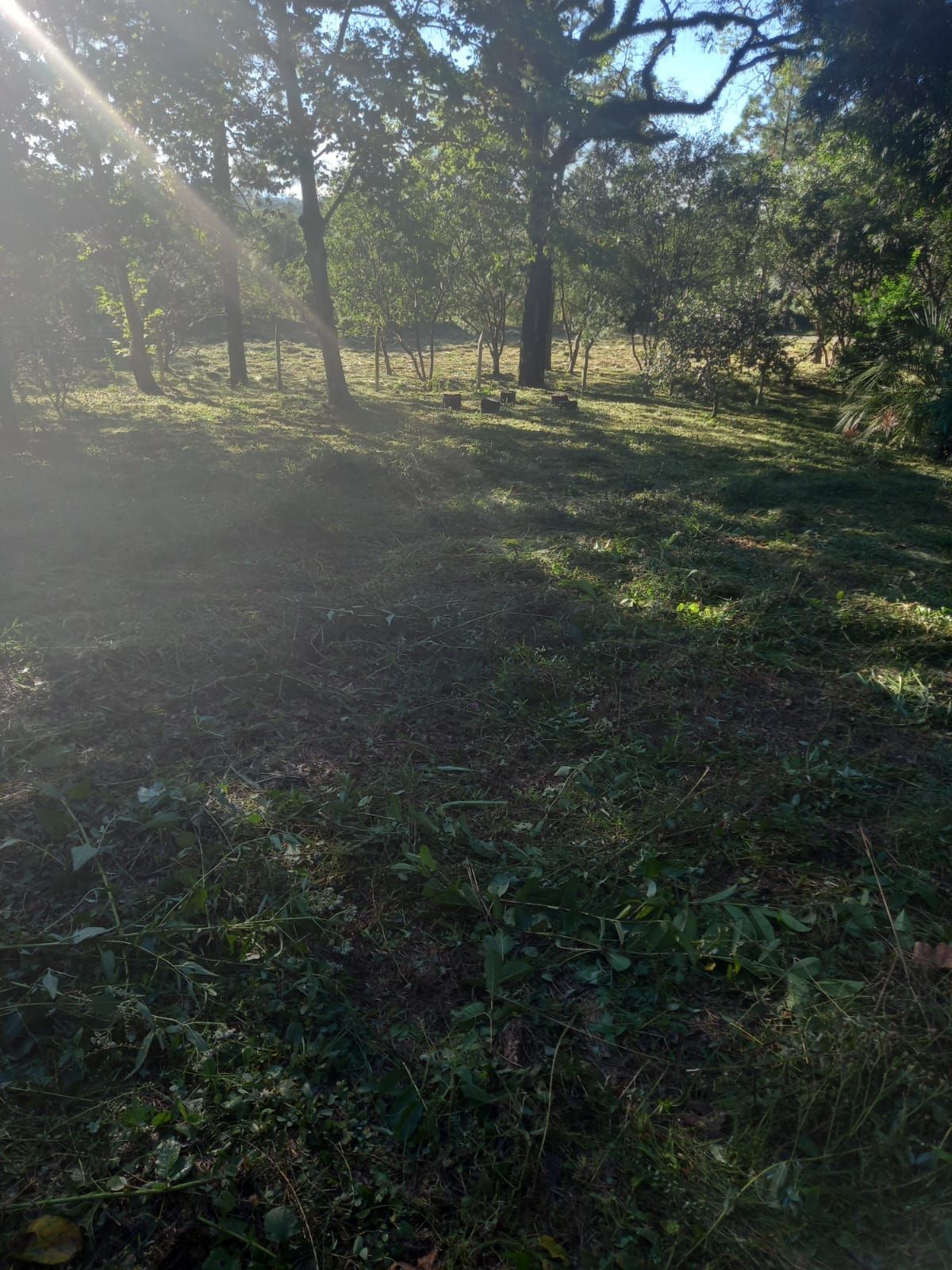 Terreno, 5 m² - Foto 19