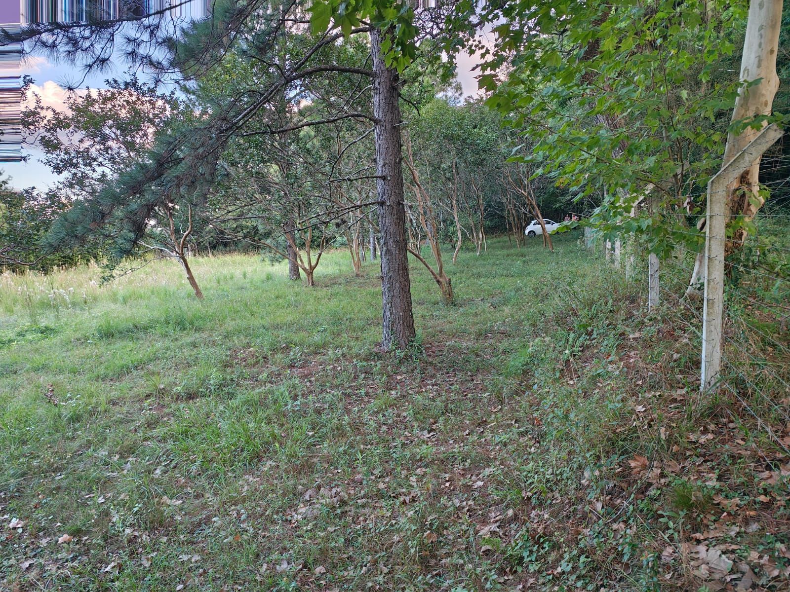 Terreno, 5 m² - Foto 5