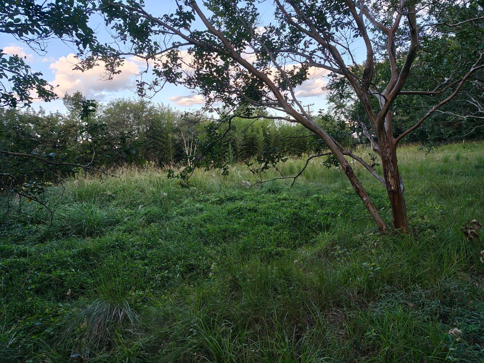 Terreno, 5 m² - Foto 21