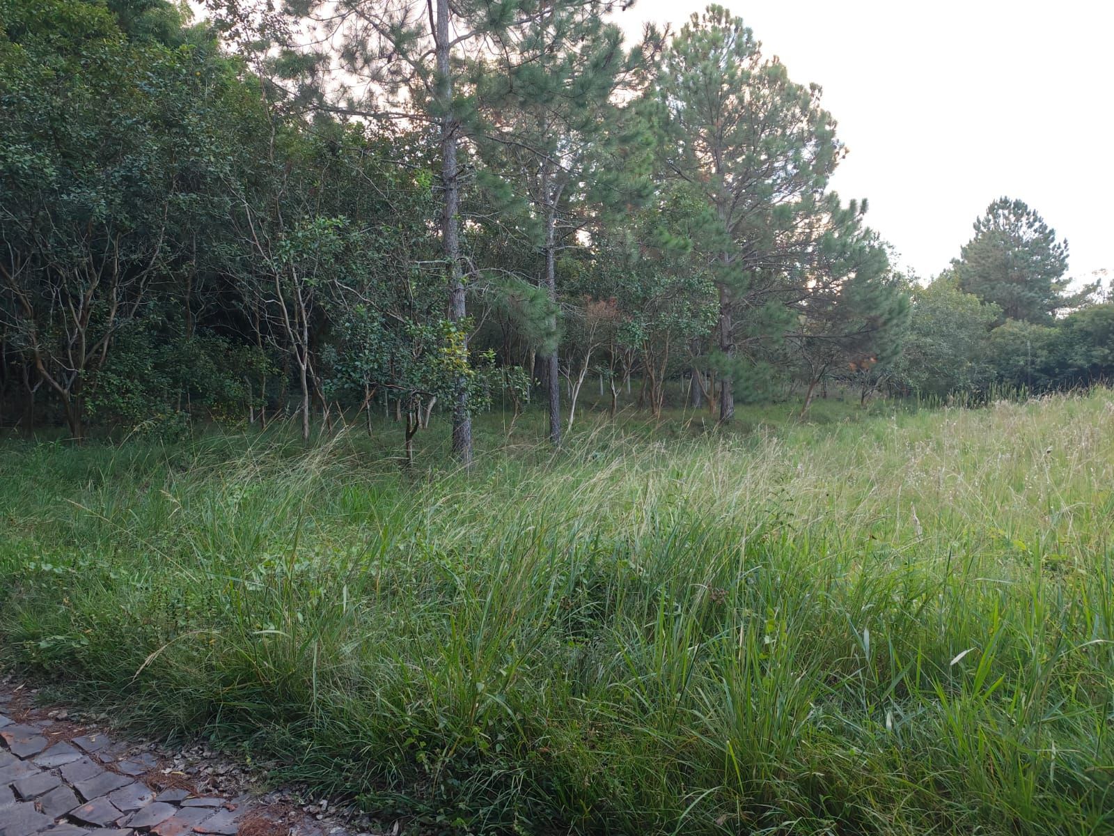 Terreno, 5 m² - Foto 6