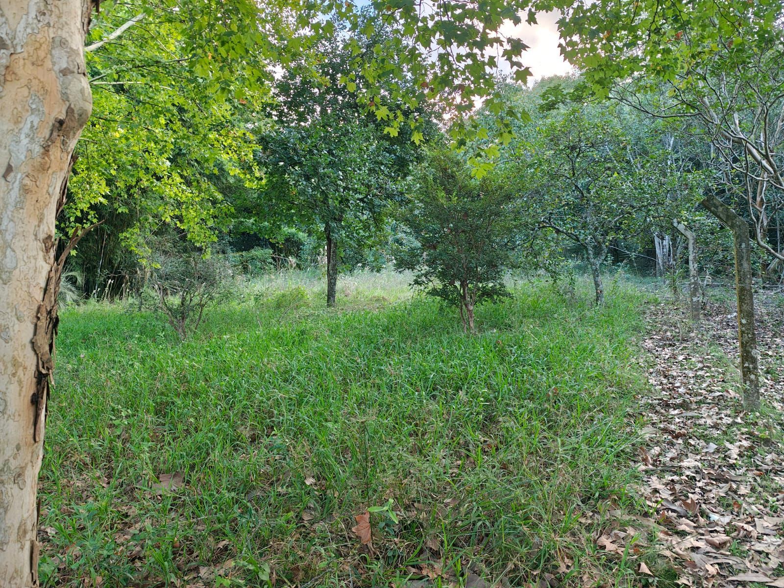 Terreno, 5 m² - Foto 9