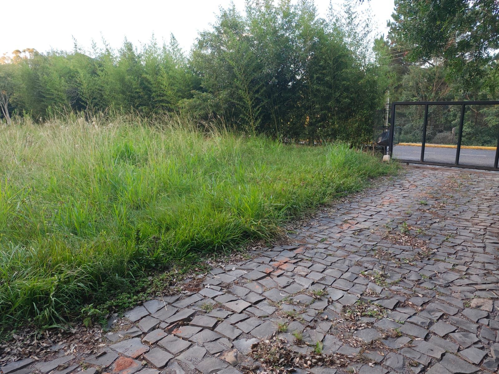 Terreno, 5 m² - Foto 2