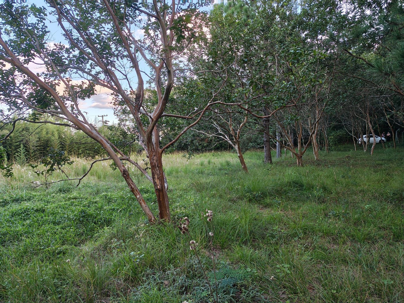 Terreno, 5 m² - Foto 26